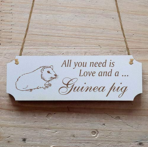 Schild « MEERSCHWEINCHEN » 15 x 5 cm - Dekoschild Holzschild Türschild Zoo Safari Tierpark Haustier