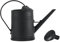 LOVIVER Annaffiatoio da 2 Litri con Testina Spray Staccabile Attrezzi da Giardino Portatili di Grande capacità Vaso Decorativo Smerigliato Pratico per la casa, Nero