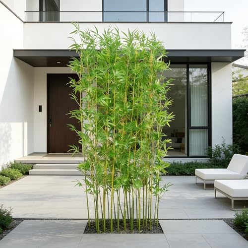 SEIFE Bambù Artificiale 100-200cm, Piante Finte da Interno ed Esterno con Canne Naturali, Realistico Separè Divisorio per Casa, Giardino, Ufficio, Decorazione Parete Privacy(10 bamboos,1m/3.3ft)
