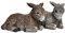 stoneandstyle Steinfigur 2er Set Esel frostfest wetterfest Steinguss