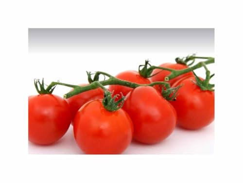 Stk - 6 Korn Tomaten Phantasia F1 Garten Pflanzen - Samen F-S375 - Seeds & Plants Shop by Ipsa