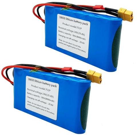 SSCYHT Batteria al litio 24V 8Ah Batteria ricaricabile 8Ah Batterie bici elettriche 24V Batterie scooter elettrici con attacco JST e XT60 per kit motore inferiori a 150W,24v8ah 2pack
