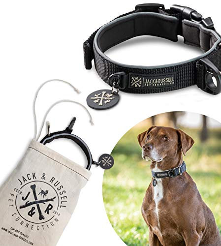 Jack & Russell Hundehalsband Balu Neopren gepolstert - Hunde Halsband div. Größen und Farben (Halsumfang L (43-58 cm), Schwarz)