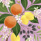 20 Servietten exotischen Früchte Orangen Zitronen 24cm