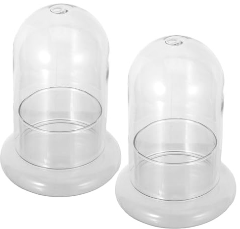 Kichvoe 2 Stück Mikrolandschafts Glasflasche aus Borosilikatglas mit 8mm Loch Ökologische Flaschengarten Dekoration für Terrarien Moos und Selbstgemacht Pflanzenbehälter