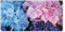 MuchoWow® Balkon Sichtschutz Sichtschutzmatte Balkonbanner Abdeckung für Terrasse Balkon Windschutz Blickdicht Wetterfest 200x90 cm Blumen - Strauch - Hortensie - Botanisch