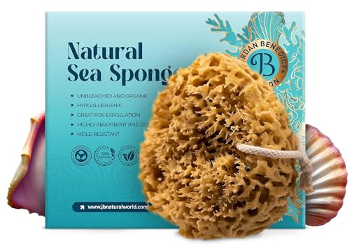 Jordan Benedict Natürlicher Meereschwamm, Naturbelassener Waben-Duschschwamm, Badeschwamm an einem Seil, Naturschwamm, Peelingschwamm, 1 Stück XXL Bio-Dusch Schwamm