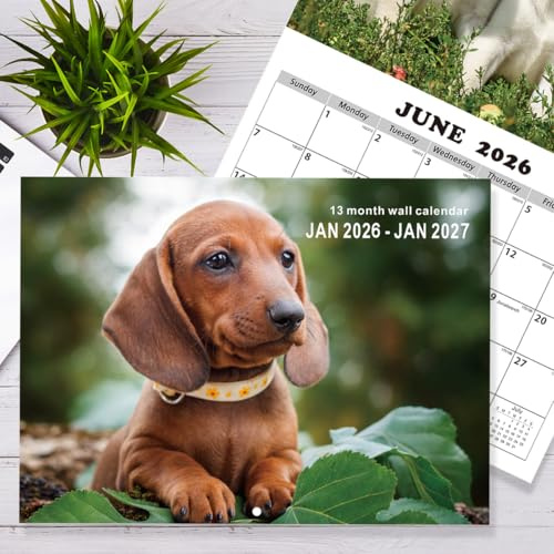 2027 Kalender | 30x22cm Bürokalender großer Wandkalender mit Bild | Wand Fotokalender, Aufhängbar Planungsterminplaner Organizer Für Büro Zuhause Homeschool Familie Reisen Schule (Hund)