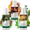 NORDHOLZ® Saunaaufguss Set - Premium Qualität [Starkes Trio - 3x100ml] besonderes & natürliches Sauna Aufgussmittel für intensiven Duft - Sauna Zubehör für Saunafan's