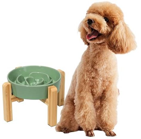 Elevated Slow Feeder Dog Bowl - Raised Ceramic Dog Bowl with Anti-Slip Stand - Fun Maze Dog Feeding Bowl for Fast Eater - Heavy Dog Food Dish - Designed for Small and Medium Dogs - Green - 6.7 inch