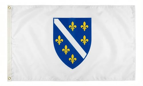 Flaggenfritze® Bosnien 1992-1998 Flagge 90 x 150 cm - hochwertige historische bosnische Nationalfahne + Gratis Aufkleber