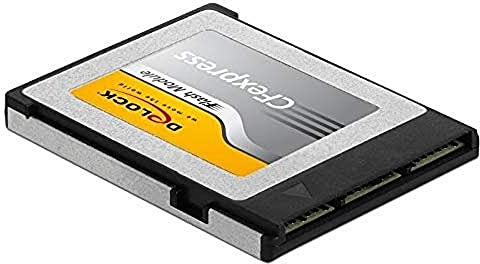 DeLOCK CFexpress Speicherkarte 256 GB