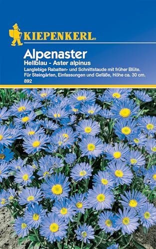 Kiepenkerl Alpenasternsamen Hellblau 892 - Langlebige Rabatten- und Schnittstaude - Wuchshöhe ca. 30 cm - Inhalt für 30 Pflanzen - Blumensamen, Saatgut