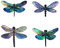 Generisch 4 Stück Libellen Wand Deko, Holzlibellahme Wanddekoration Dragonfly Garten Ornamente Wandskulpturen für Garten Wohnzimmer Schlafzimmer Badezimmer Küchenzaun deko (4 Größen)