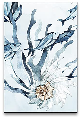 Paul Sinus Art Wandbild auf Leinwand 60x90cm Fische Muschel Koralle Wasserfarben Aquarell Blau Dekorativ