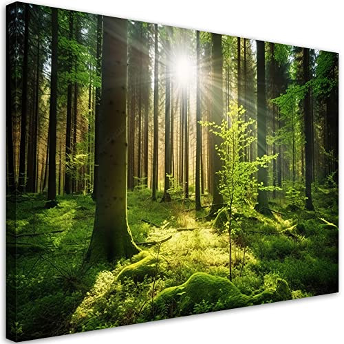 Feeby Bilder Sonne Wald Natur 45x30 cm 1 tlg Modern Leinwandbilder Bild auf Leinwand Kunstdruck Wand Bild Wanddeko Design Schlafzimmer Büro Flur Hotel Spa Wohnzimmer Bäume Grün