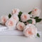 100 pcs rosensamen zum einpflanzen, rosen samen, bienenfreundliche blumensamen, balkongewächshäuser kletterrosen winterhart blumensaat, exotische pflanzen samen blumen pflanzen, kletterpflanzen