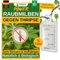 GREEN GUARDIA Power Raubmilben gegen Thripse – 5 Tüten -Biologisches Mittel zur effektiven Thripse Bekämpfung für Zimmer- & Zierpflanzen sowie Canna. – umweltfreundlich,chemiefreie Mittel