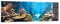 Panorama Bilder auf Glas 160x50cm Glasbild Ozean Riff Fische Koralle Groß XXL Wanddeko Bild im Glas Schlafzimmer Küche Wandbilder Dekoration Wohnzimmer Modern Wand Kunstdruck Art GAB160x50-2872