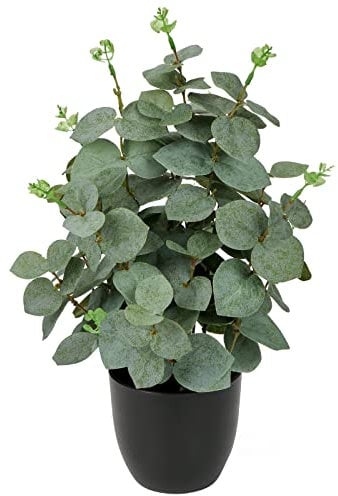 Kunstpflanzen im Topf, künstliche Eukalyptus Blätter im schwarzen Topf, 36cm Eukalyptus Künstlich Dekoration zur Dekoration, Wohnzimmer, Zimmer, Tischdekoration, Badezimmer, Schreibtisch, Küche