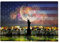 1000 Teile Puzzle für Erwachsene - Freiheitsstatue Feuerwerk patriotisch US