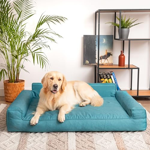 PillowPrim Hundebett, Haustiermatratze, Katzenbett, Hundekissen, Hundekorb, Hundesofa, Liegeplatz für Hund, Orthopädische, Asche, 55 cm, Blau, 116x78 cm
