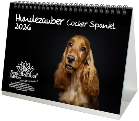 Hundezauber Cocker Spaniel DIN A5 Tischkalender für 2026 Welpen und Hunde - Seelenzauber