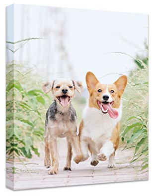 Regalo personalizzato,Stampe su tela Immagini personalizzate su tela,Stampa Foto su Tela, Arredo Casa, Ufficio con Quadri moderni e Canvas Personalizzato. (15cmX20cm)