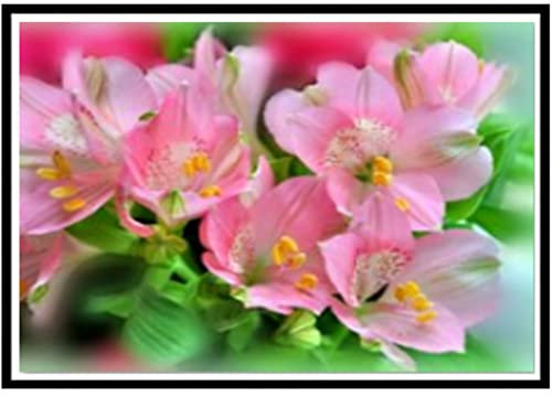 Diamond Painting, DIY Kinder Diamant Painting Bilder, Blume 5D Erwachsene Groß Vollbohrer Diamant Malerei Cross Stickerei Malerei Kits, für Wohnwand Wand Dekoration Geschenk 80x120cm