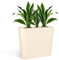 Kloris Vaso Fioriera Alta Rettangolare Moderna per Siepe e Recinzione MOD. Blog Colore Crema cm 70x30 Altezza cm 70
