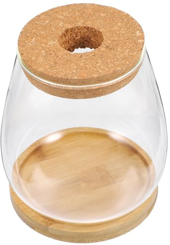 Kichvoe Glasvase für Sukkulenten und Hydrokultur Großer Transparenter Pflanzenhalter aus Glas mit Bambus Deckel Multifunktionaler Kerzenhalter und Dekoration für Büro Balkon und