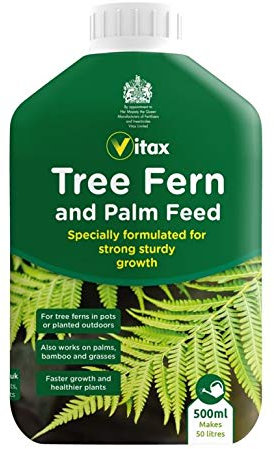 Tree Fern & Palm Feed