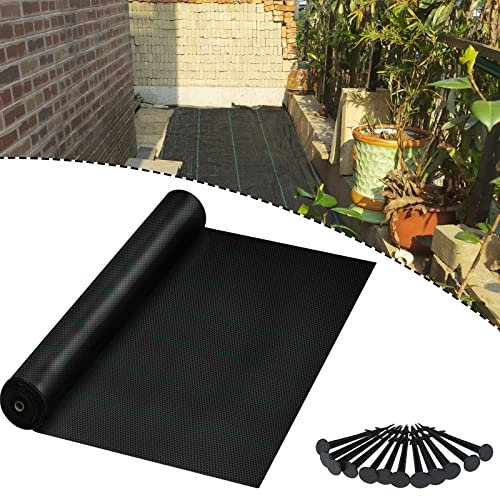 LARS360 Gartenvlies Unkrautvlies 100g/m² Unkrautvlies mit Nagel, Durchlässig, UV-beständig, Reißfest, Natürliche Unkrautbekämpfung, Einsetzbar für Gärten Gemüsebeete Straßen (Schwarz, 2x10m)