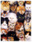 YISUMEI Decke 150x200 cm Kuscheldecken Sanft Flanell Weich Fleecedecke Nettes Katzen Zucht Collagen Haustier