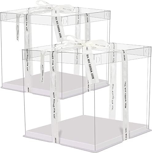 XiYee 2 Stück Transparente Kuchenbehälter, Dessert, Cake Box mit Deckel Doppelschicht Tortenschachtel Kunststoff Geschenk Boxen (weiß, 10 IN)