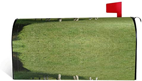 Briefkasten-Abdeckung mit Schaf und Lämmern, bedruckt, magnetisch, für Frühling und Sommer, für Garten, Hof, Dekoration