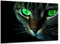 Munera Design - Bild 30x40 - Katzen-Bilder Nahaufnahme grüne Augen - Wand-Bilder Wohnzimmer