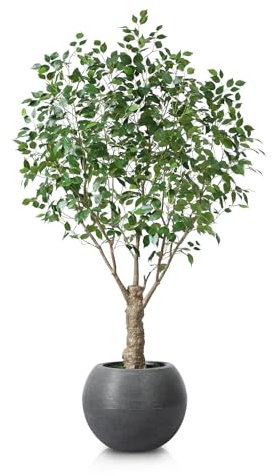 CROSOFMI Artificial Plant Indoor and Outdoor 210 cm Large Artificial Ficus Tree in Plastic Pot Tall Fake Plants for Living Room Home Decor (1 Pack)