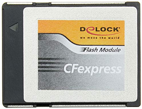 Delock CFexpress Carte mémoire 64 Go