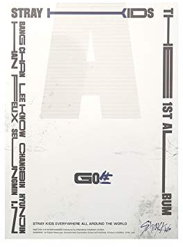 STRAY KIDS GO LIVE 生 (Standard Ver.) The First Album C Type CD+Photobook+Photocards+4 Cuts Film+Secret Card+Unit Lyric Leaflet+(Extra 4 Photocards + 1 Double-Sided Photocard)