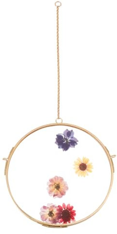 OLYCRAFT Runder Glasrahmen Zum Aufhängen 15cm Zum Aufhängen An Der Wand Schwebender Rahmen Aus Messing Doppelglas Bilderrahmen Mit Kette Für Gepresste Blumen Bilder Heim Wanddekoration