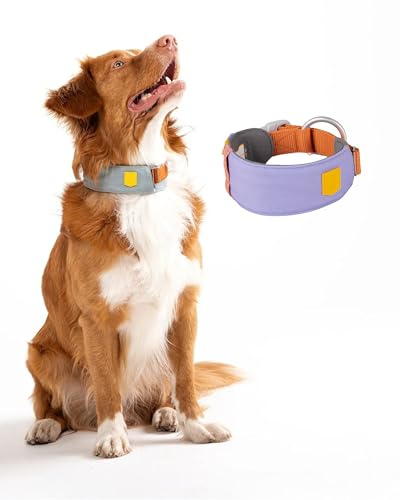 Woolly Wolf Alpha 360 Halsband für kleine Hunde Gr. S Lavendel Mix - Nachhaltig & bequem, Reflektierend für erhöhte Sicherheit bei schlechter Sicht