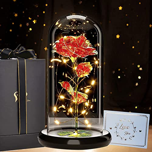 Rose Eternelle sous Cloche, La Belle et la Bête, Galaxy Dôme en Verre avec LED Lumières - Cadeau pour Fête des Mères, Saint-Valentin, Noël, Anniversaire
