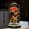 Rose Eternelle sous Cloche, La Belle et la Bête, Galaxy Dôme en Verre avec LED Lumières - Cadeau pour Fête des Mères, Saint-Valentin, Noël, Anniversaire