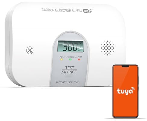 CO Melder Kohlenmonoxid Melder WLAN, Kohlenstoffmonoxid Melder, Austauschbarer Batterie Kohlenmonoxidmelder Wohnwagen Wohnmobil Zubehör EN50291 Standard Zertifiziert, 1 Stück