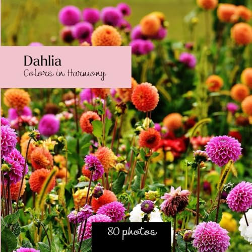 Dahlia: Colors in Harmony: Dahlia photo book - 80 captivating images of floral beauty