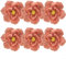 Stilvolle handgefertigte Papierblumen, 3D-Design, 6 Stück, für elegante Veranstaltungsdekoration (Pulver mit 1 Farbe)