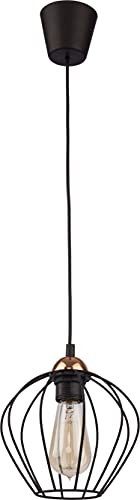 Licht-Erlebnisse Pendellampe mit Metall Käfig in schwarz Kupfer D:20cm E27 modern für Wohnzimmer Küche Hängeleuchte Pendelleuchte Hängelampe Innen