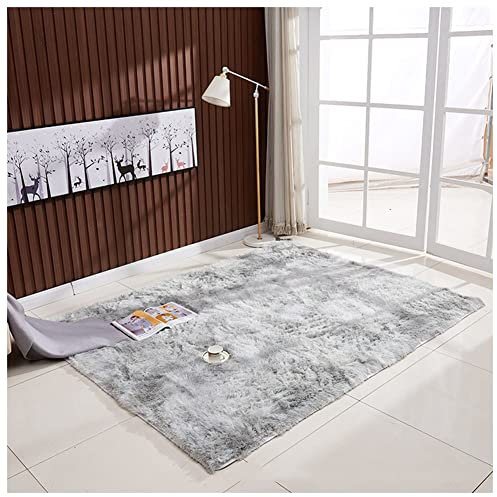 YAOTT Teppich Wohnzimmer Teppich - Quadrat Flauschige Teppiche Soft Area Rug Schlafzimmer Shaggy Teppich Teppiche Batik-Teppiche Für Wohnzimmer Schlafzimmer,Grau2,50X80