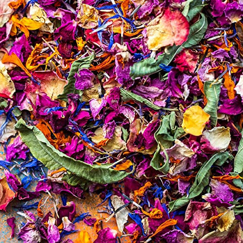 ''Toskanischer Sommer'' 1 Liter Burgunder & Vintage Rosa Rose, blaue Kornblume, orangefarbene Ringelblume und Zitronenverbene Hochzeitskonfetti Öko biologisch abbaubare natürliche Blütenblätter (327)
